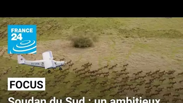 Soudan du Sud : un ambitieux projet de protection de la faune • FRANCE 24