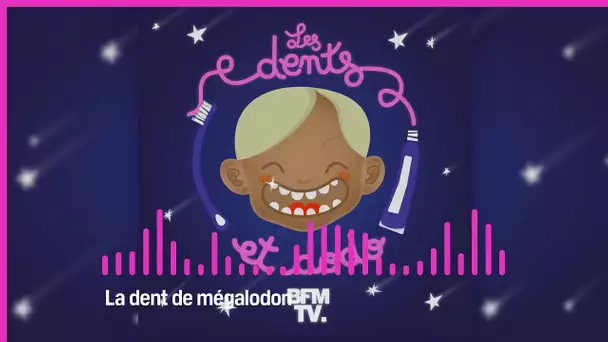 Les dents et dodo - “La dent de mégalodon”