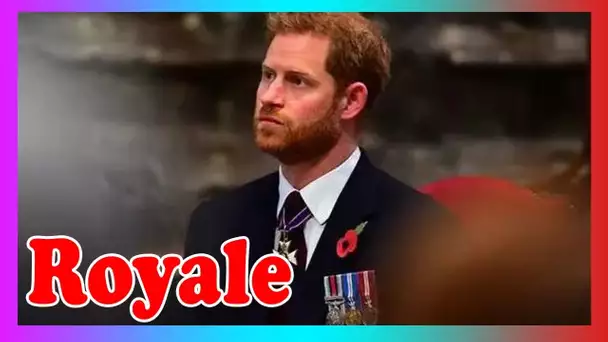 Le père d'un vétéran afghan supplie le prince Harry de l'aider