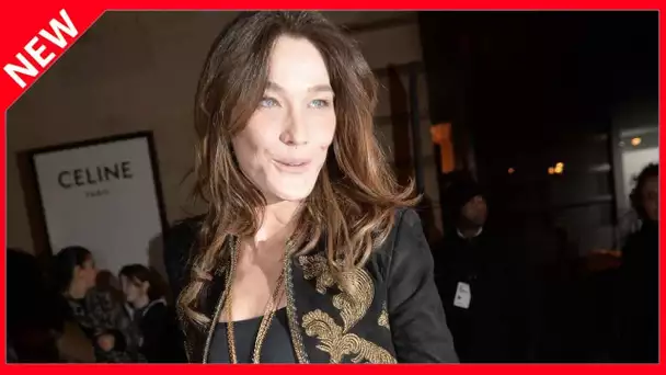 ✅  Carla Bruni seule épargnée dans le livre de son ex Raphaël Enthoven