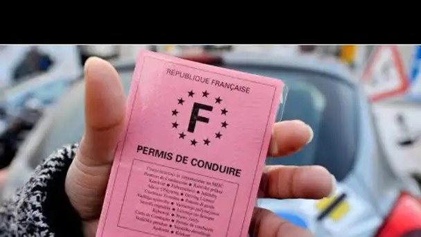 Permis de conduire dès 17 ans : « pour le financer, il faut rendre portable le CPF des parents ve…