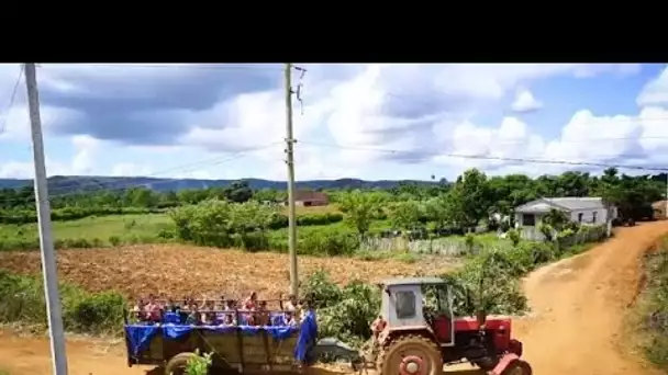 Le tracteur piscine de Cuba