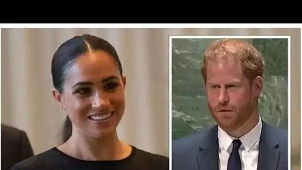 Le prince Harry mentionne "l'âme sœur" Meghan alors que Duke dit à l'ONU "a trouvé du réconfort pour