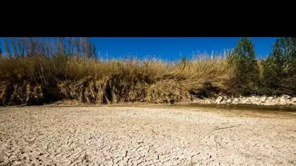 Canicule : les experts remarquent un niveau d'eau faible dans les nappes phréatiques