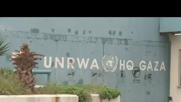 L'Unrwa dans la tourmente : quel est l'avenir de l'agence pour les réfugiés palestiniens ?