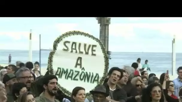 Les Brésiliens dans la rue pour combattre les incendies en Amazonie