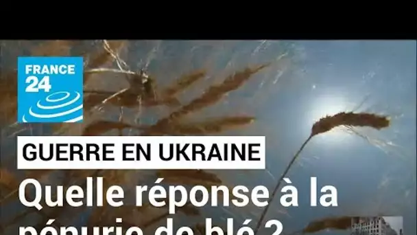 Guerre en Ukraine : comment répondre à la pénurie de blé qui touche de plus en plus de pays ?