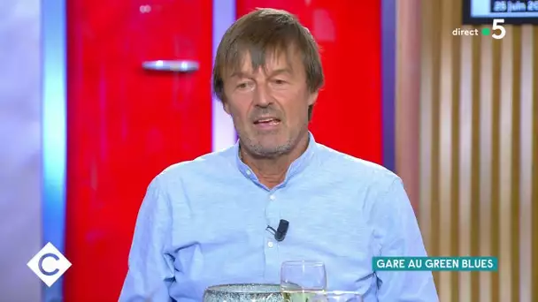 Nicolas Hulot se confie sur ses peurs - C à Vous - 01/09/2020