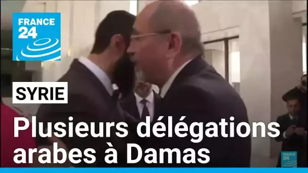 Syrie : plusieurs délégations arabes venues rencontrer le nouveau dirigeant à Damas • FRANCE 24