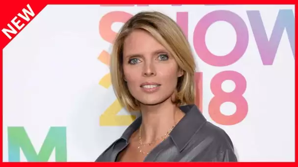 ✅  Le casse-tête de Sylvie Tellier avant Miss France 2021 : « J'ai failli faire une dépression »