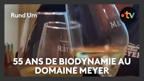 Domaine Meyer, pionnier des vins biodynamiques