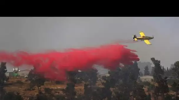 Vaste incendie dans le sud de Chypre : au moins quatre morts, plusieurs villages évacués