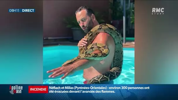 Nîmes : le boa constrictor disparu depuis une semaine a été retrouvé