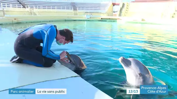 Le confinement vécu au zoo marin Marineland à Antibes