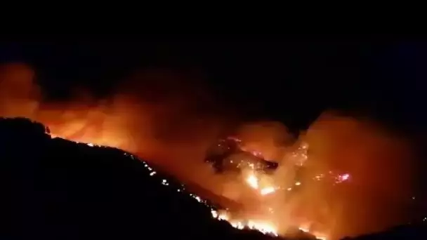 Espagne : 1000 hectares partent en fumée sur l'île de Grande Canarie