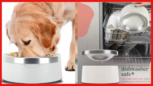 Dog Food Water Bowl - Stainless Steel Pet Feeding & Watering Bowl for Small, Medium, & Large Sized