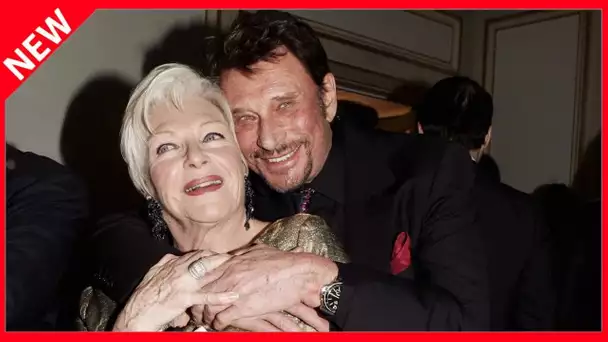 ✅  Line Renaud sur Johnny Hallyday : “Il avait une relation quasi suicidaire avec l’alcool et le tab