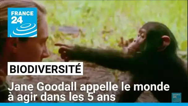 Biodiversité : la primatologue Jane Goodall appelle le monde à agir dans les 5 ans • FRANCE 24