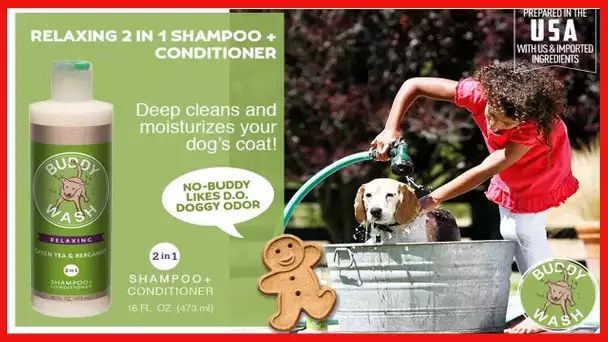 Buddy Biscuits Buddy Wash Dog Shampoo & Conditioner for Dogs with Botanical Extracts and Aloe Vera