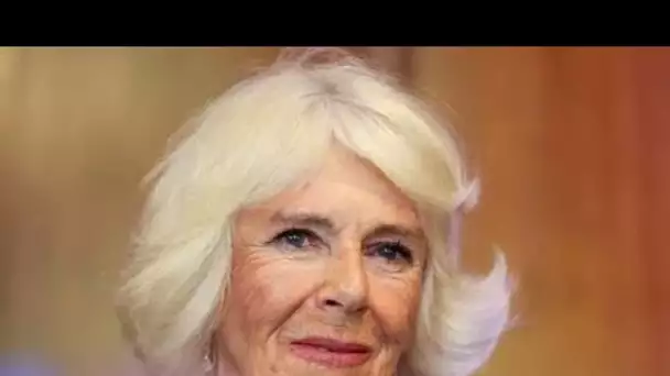 Camilla "espiègle" saluée comme "l'arme secrète de la famille royale" après un documentaire