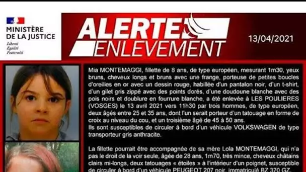 Enlèvement de Mia : un ancien cadre du MoDem, devenu "gourou" conspirationniste, est...