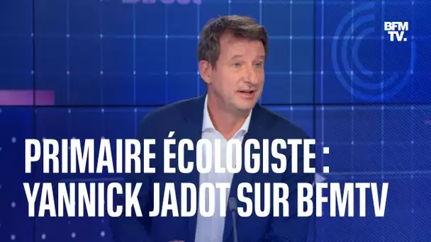 Primaire écologiste: l'interview de Yannick Jadot dans Calvi 3D en intégralité