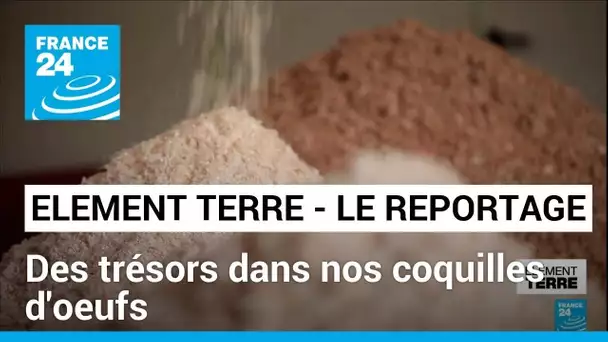 Des trésors dans nos coquilles d'œufs • FRANCE 24