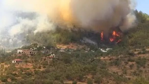 Des habitants tentent d'échapper aux incendies dans le sud de la Turquie