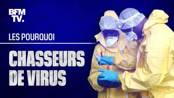 Chasseurs de virus : à la recherche de la pandémie de demain