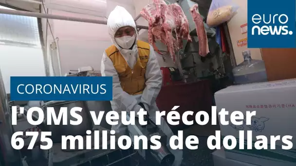 Coronavirus : l'OMS lance un appel de fonds de 675 millions de dollars