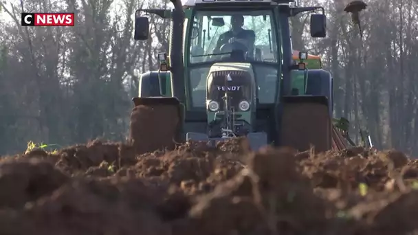 "Agribashing" : les agriculteurs lassés par les attaques contre le monde agricole