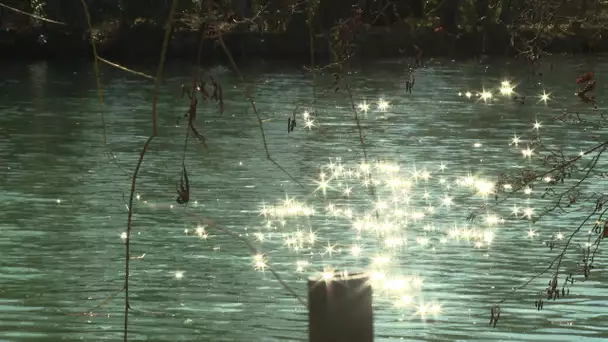 Prendre l'air sur les bords du Clain à Poitiers