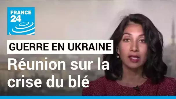 Guerre en Ukraine : réunion sur la crise du blé ukrainien • FRANCE 24