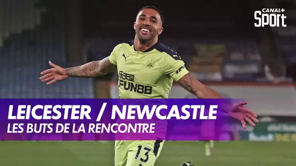Les buts de Leicester / Newcastle - Premier League (J35)