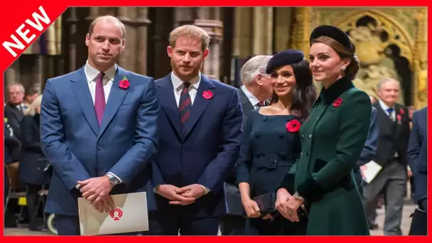 ✅  William et Harry : pourquoi ils ne passeront pas Noël ensemble