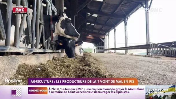 Agriculture : les producteurs de lait vont de mal en pis