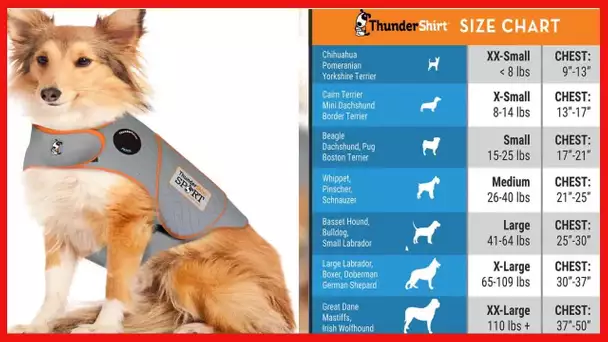 ThunderShirt for Dogs, Large, Platinum Sport - Dog Anxiety Vest