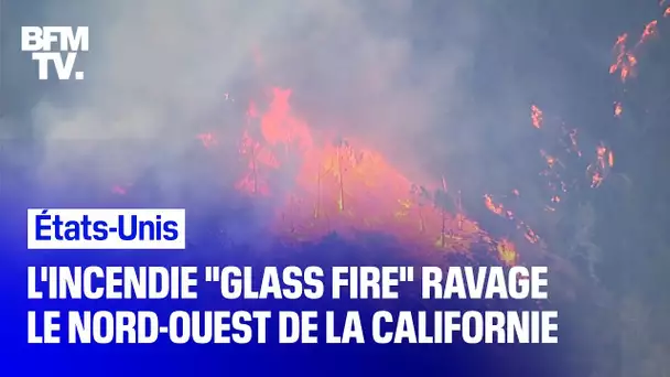 Californie: les vignobles de la Napa Valley détruits par l'incendie "Glass Fire"