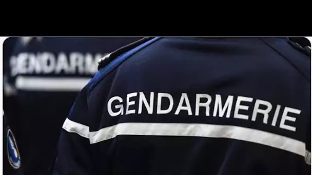 Joggeuse retrouvée vivante en Mayenne : l'homme en garde à vue est mis hors de cause