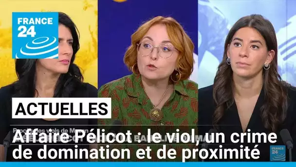 Affaire Pélicot : le viol, un crime de domination et de proximité • FRANCE 24