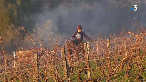 Rendez-vous chez vous à Irancy