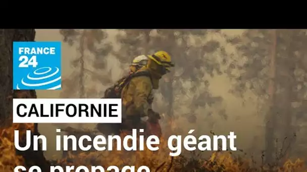 "Oak Fire", un incendie géant, se propage rapidement en Californie • FRANCE 24