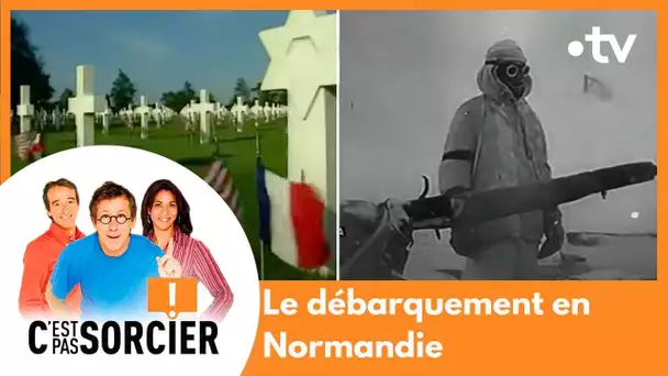 Le débarquement en Normandie - C'est pas sorcier [Intégrale]