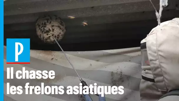 On a passé la journée avec un chasseur de frelons asiatiques