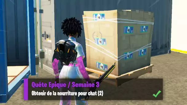 "OBTENIR DE LA NOURRITURE POUR CHAT" (FORTNITE DEFIS SEMAINE 3 SAISON 7)