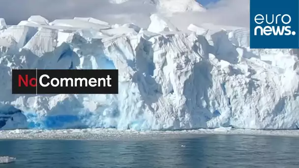 Effondrement d'un bloc de glace : un iceberg se forme sous leurs yeux