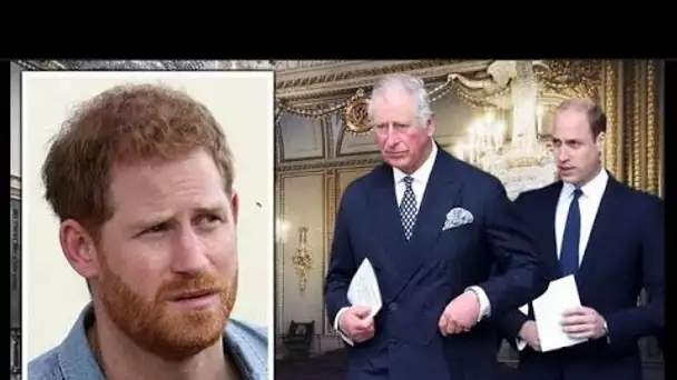 Le prince Harry est « en exil volontaire » et « aucune chance » de revenir à la vie publique royale