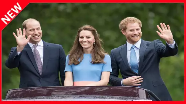 ✅  Qu'ont prévu Harry, William et Kate Middleton après les obsèques du prince Philip ?