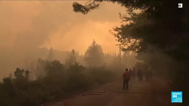 Incendie en Grèce : sur l'île d'Eubée, les pompiers toujours en lutte contre les flammes