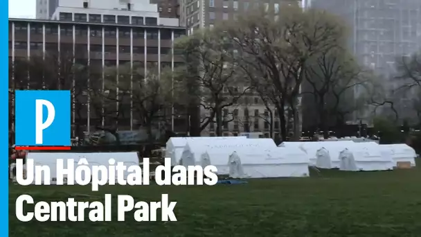 Coronavirus : un hôpital de campagne en plein Central Park